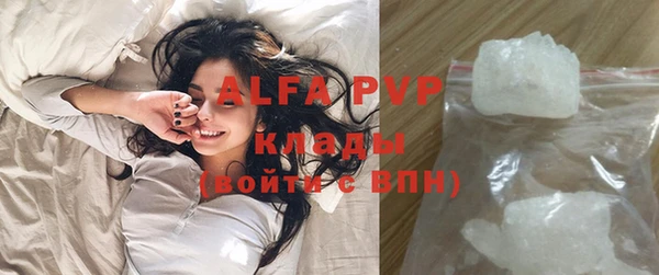сатива Богданович