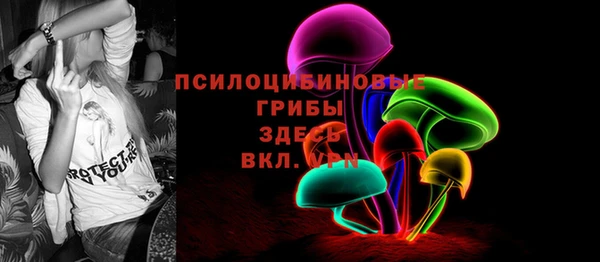 сатива Богданович