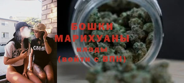 apvp Богородск