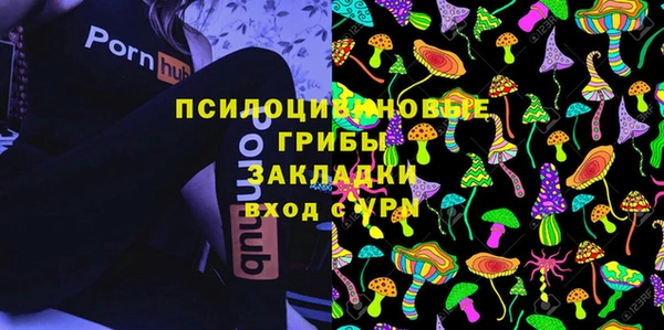сатива Богданович