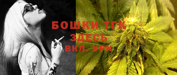 apvp Богородск